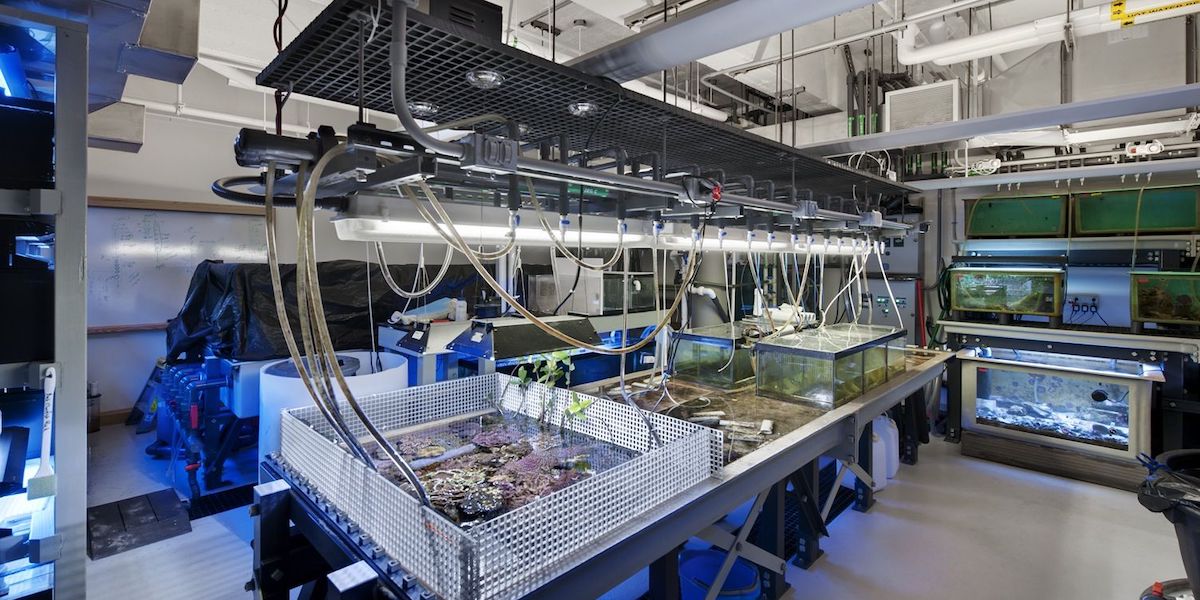 The Sea in the Sea Lab In The Pantheon